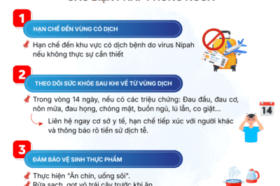 Dịch bệnh do vi rút Nipah và các biện pháp phòng chống tại Việt Nam