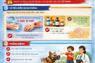 (INFOGRAPHIC) Khuyến cáo phòng, chống bệnh dại