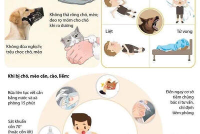(INFOGRAPHIC) Những điều cần biết về bệnh dại